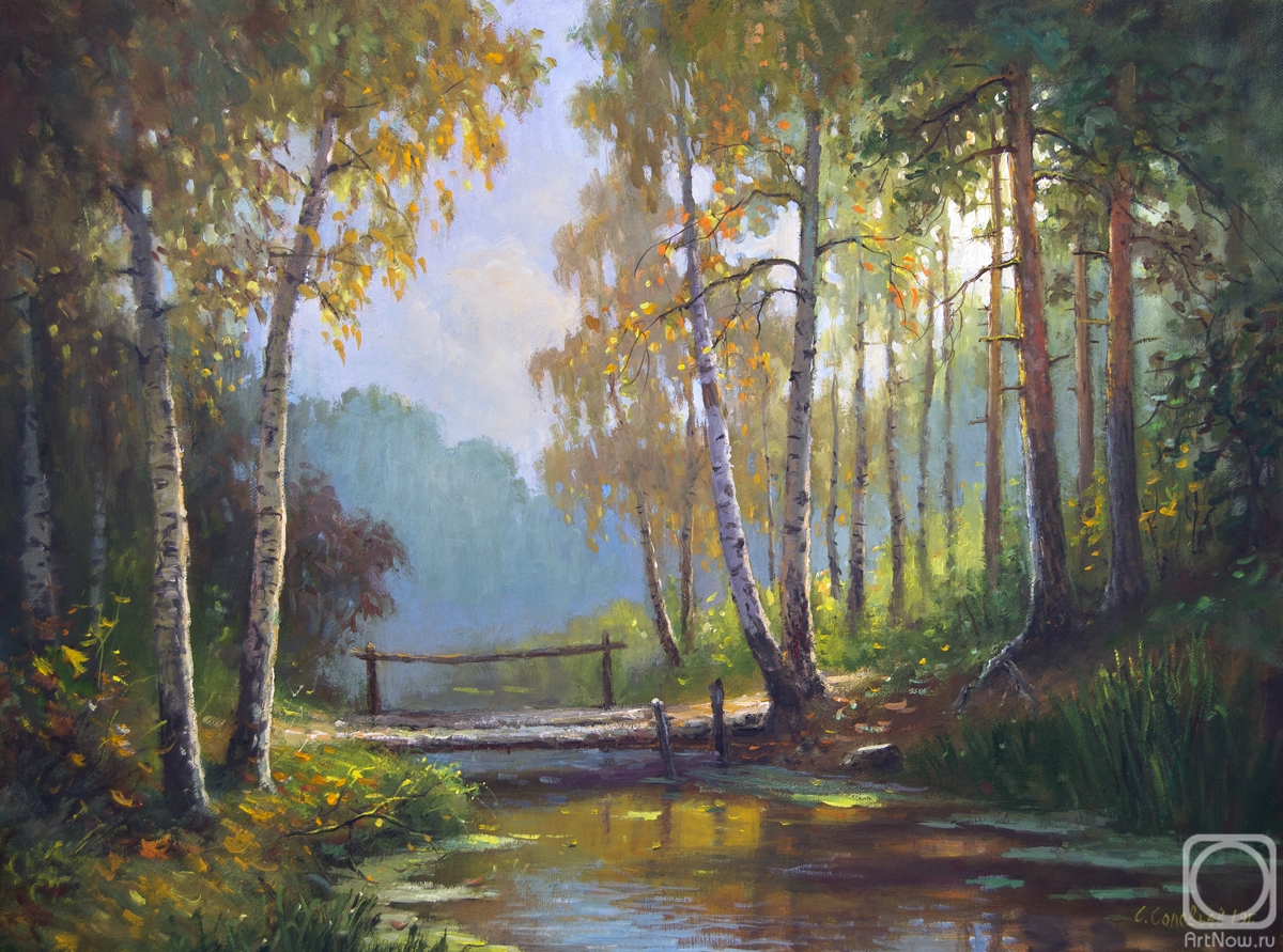 Solovyev Sergey. Forest stream
