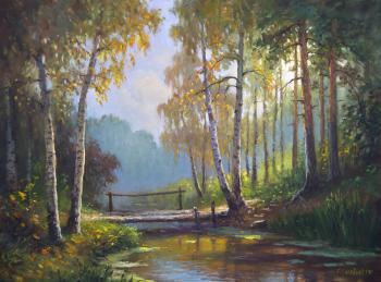 Forest stream. Solovyev Sergey