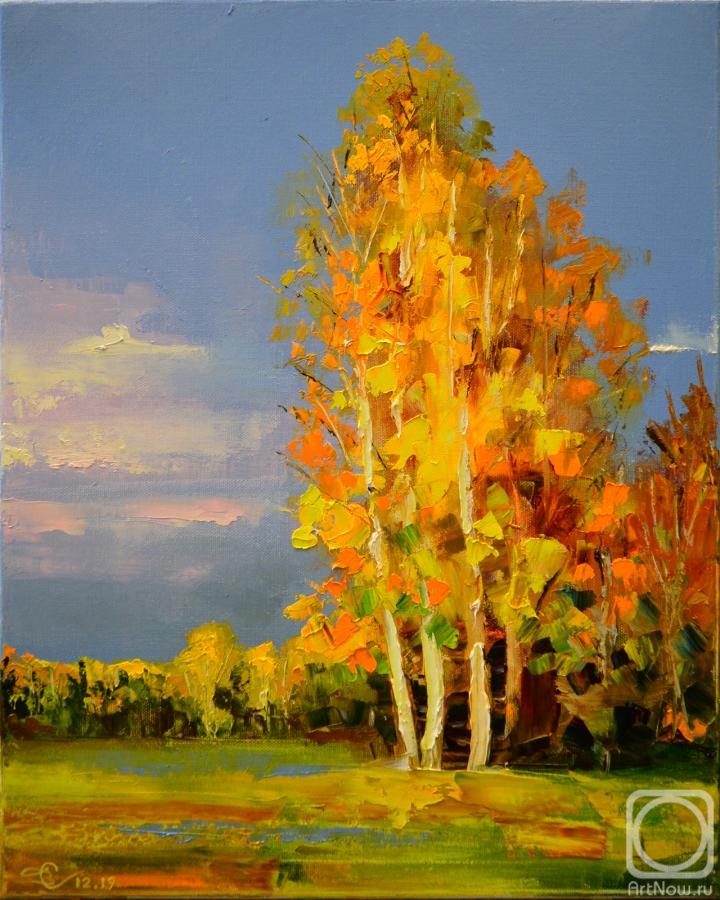 Stolyarov Vadim. Portrait of autumn