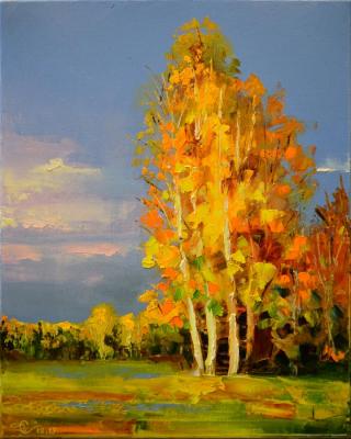 Stolyarov Vadim Anatolevech. Portrait of autumn