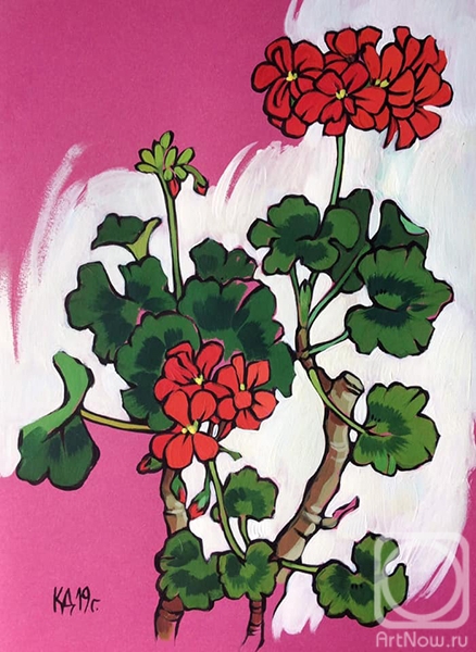 Kalinkina Dina. Red geranium