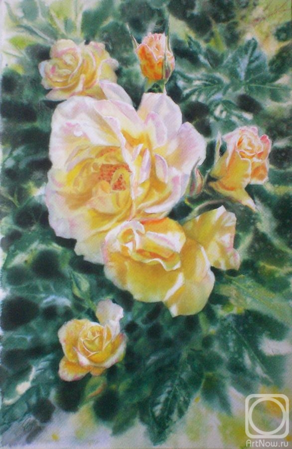 Golubkin Sergey. Yellow roses