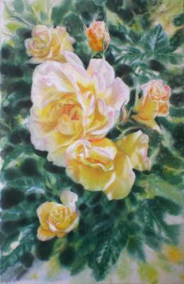 Yellow roses. Golubkin Sergey