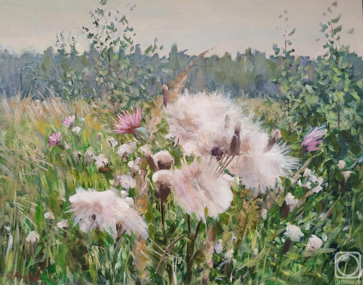 Korolev Andrey. Thistle fades