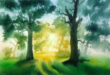 The sun in the oaks. Drozdov Ivan