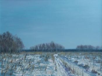 Snow-covered field. shvedov Vyacheslav