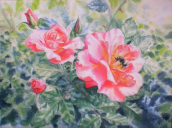 red roses and bumblebee. Golubkin Sergey