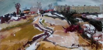 Vegetable gardens in Nizino (etude)