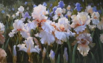 Irises. Nikolaev Yury