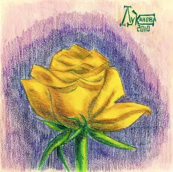Yellow Rose (3)