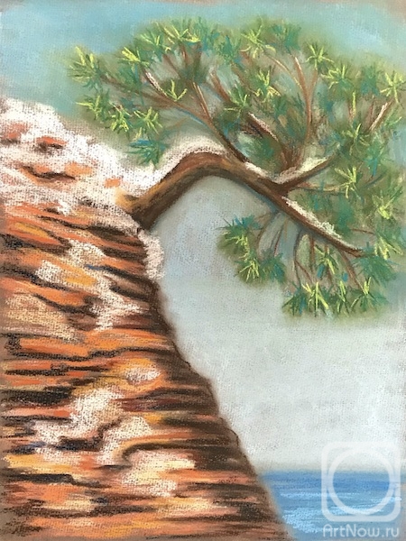 �������. �������� ������. �������� �� ����