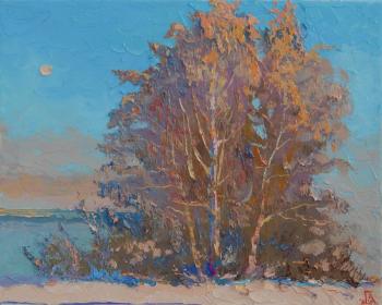 ������� ���������� ����