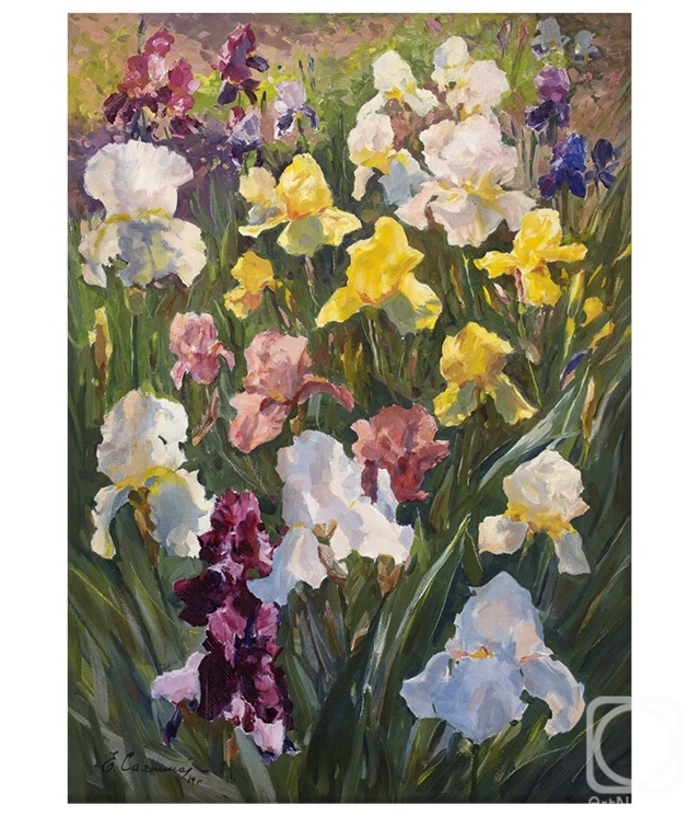 Sayapina Elena. Irises