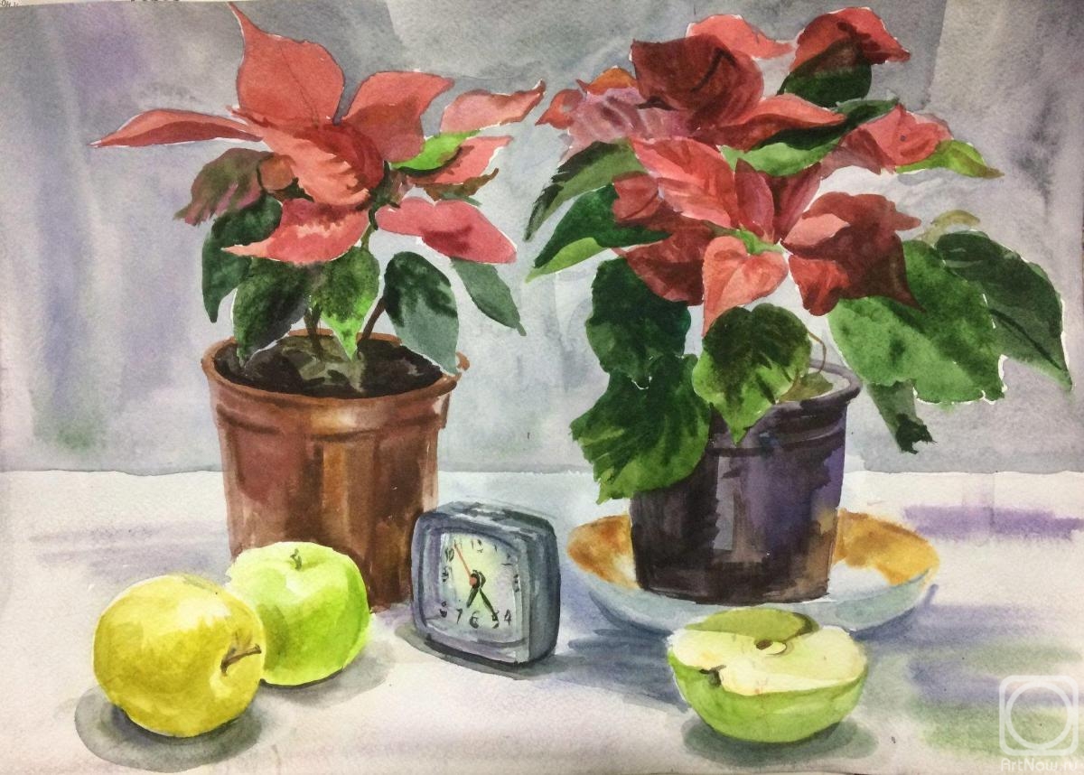 �������. ������� �������. ���� � ������ � �����������