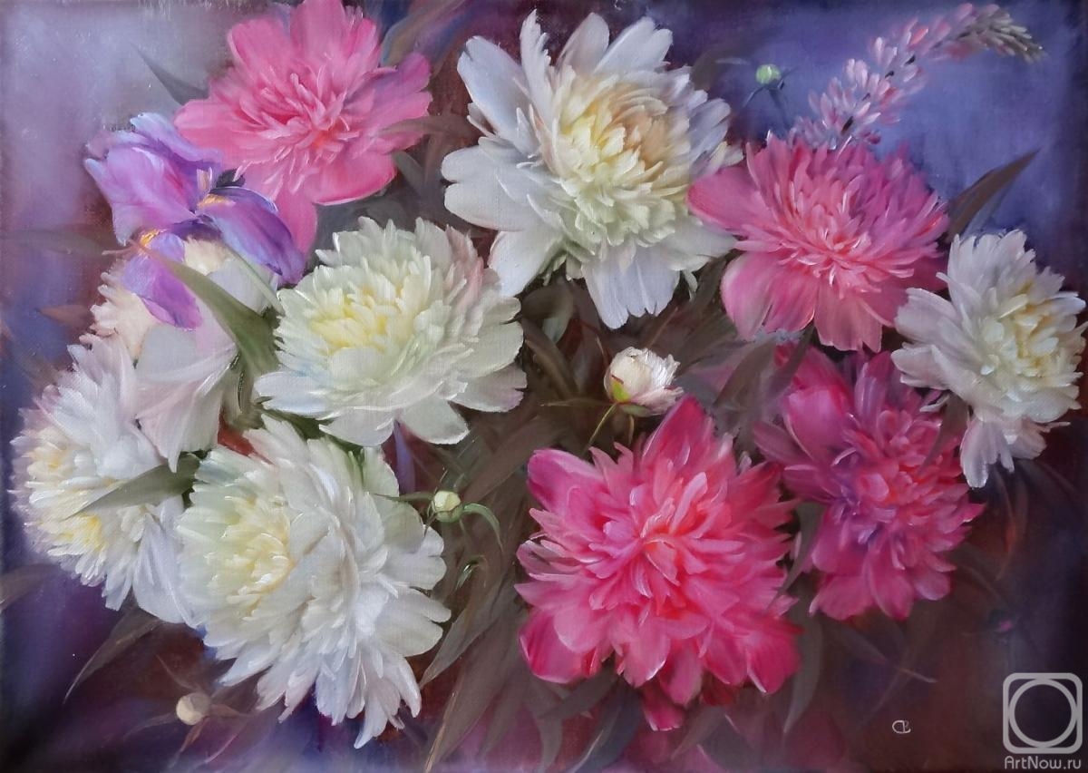 ������� ������ �� ������. �������� ��������. �����, ����, �����