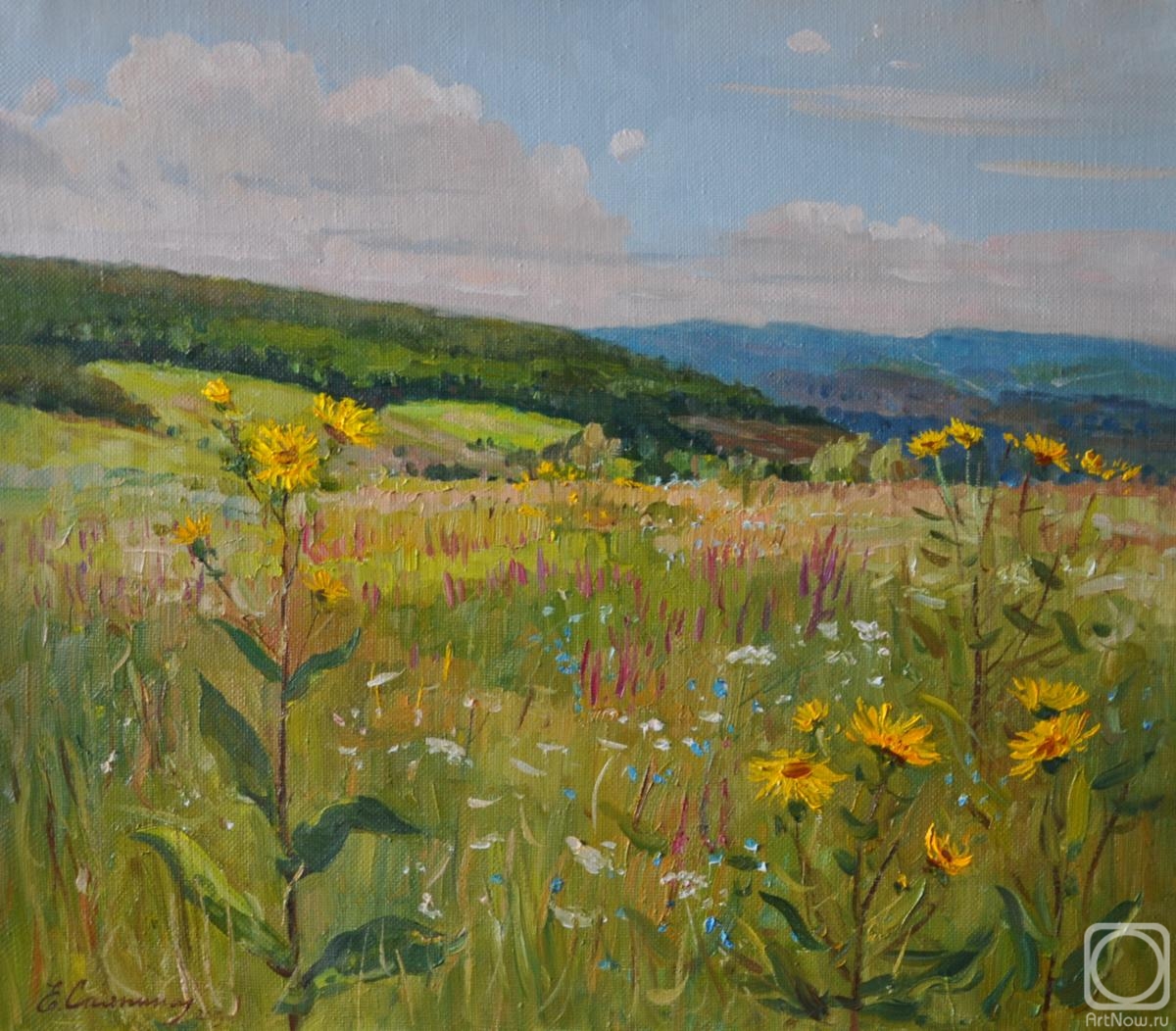 Sayapina Elena. Summer