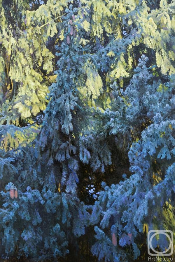 ������� ������ �� ������. ������� ����. ��� ����� �������