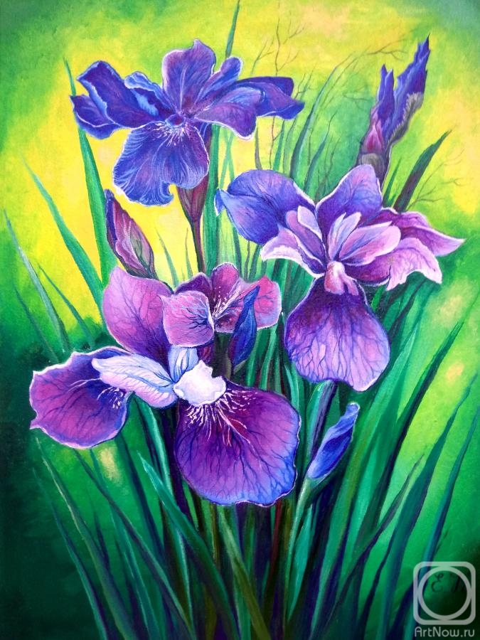 Korableva Elena. Irises