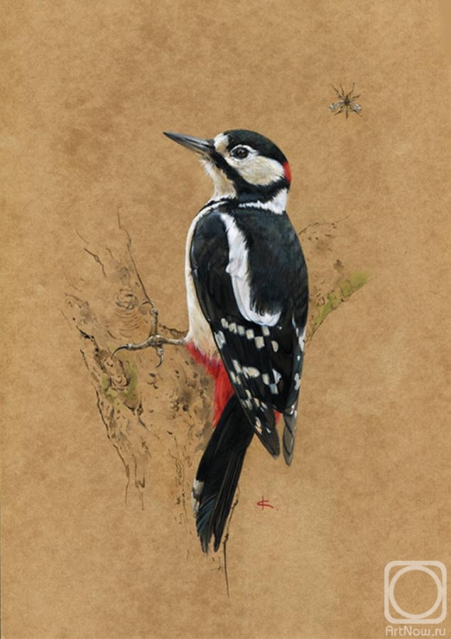 Saulina Ksenia. Woodpecker