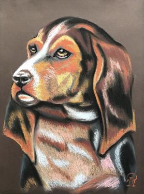 ������� ������������