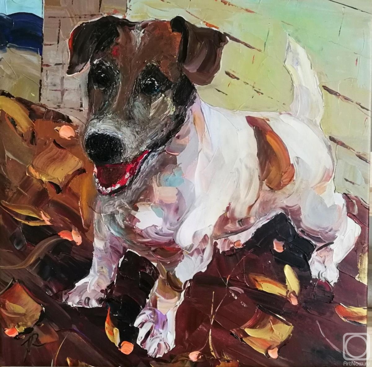 ������� ������ �� ������. �������� ����. ������ ����