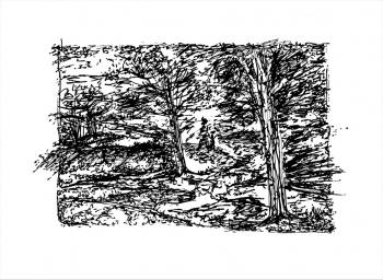 ������� ����. �������� ��������