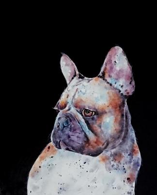 Dog. Bruno Tina