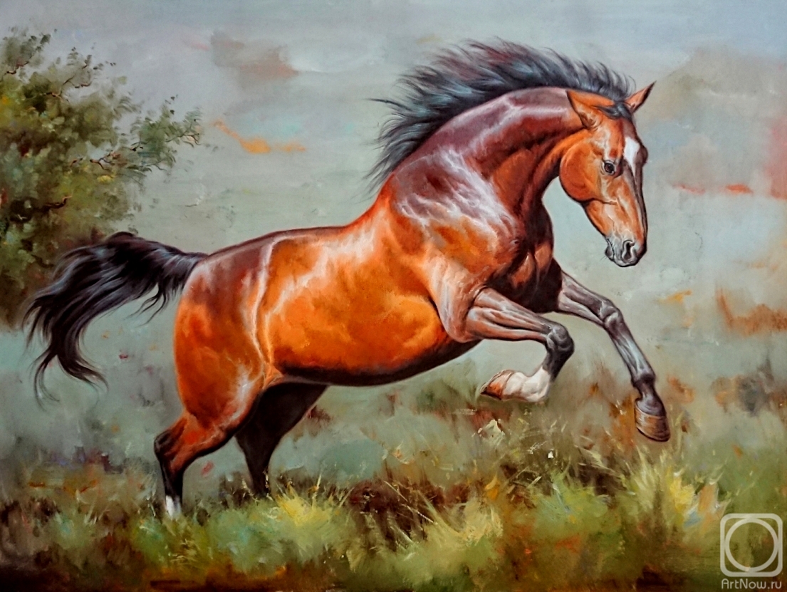 Bruno Augusto. Horse
