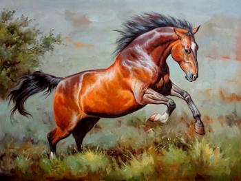 Horse (). Bruno Augusto