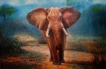 Bruno Augusto Gavino. Elephant