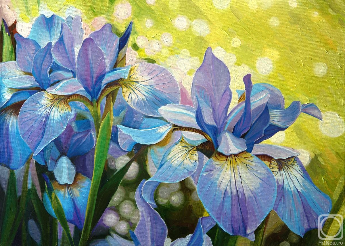 ������� ������ �� ������. ���������� ���������. ��������� �����