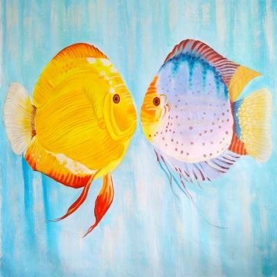 Discussion of discus (Colorful Fish). Vevers Christina