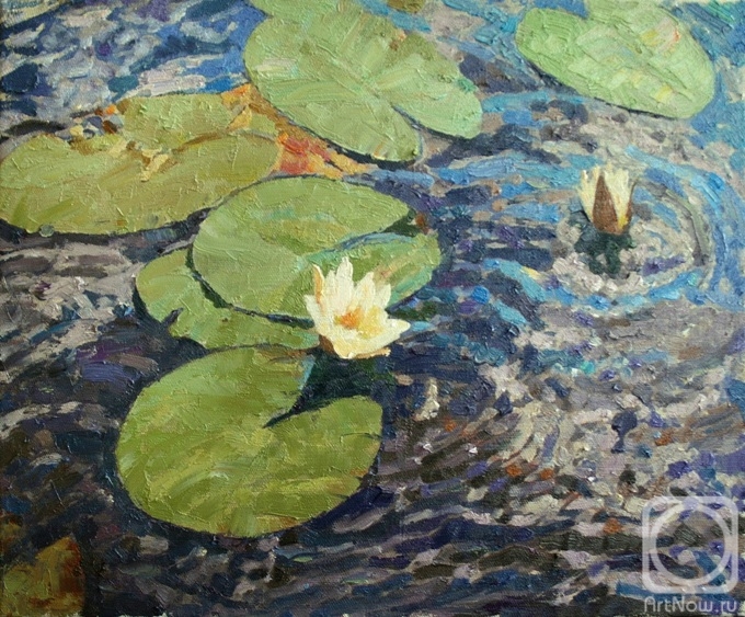 ������� ������ �� ������. ������ ������. ��������