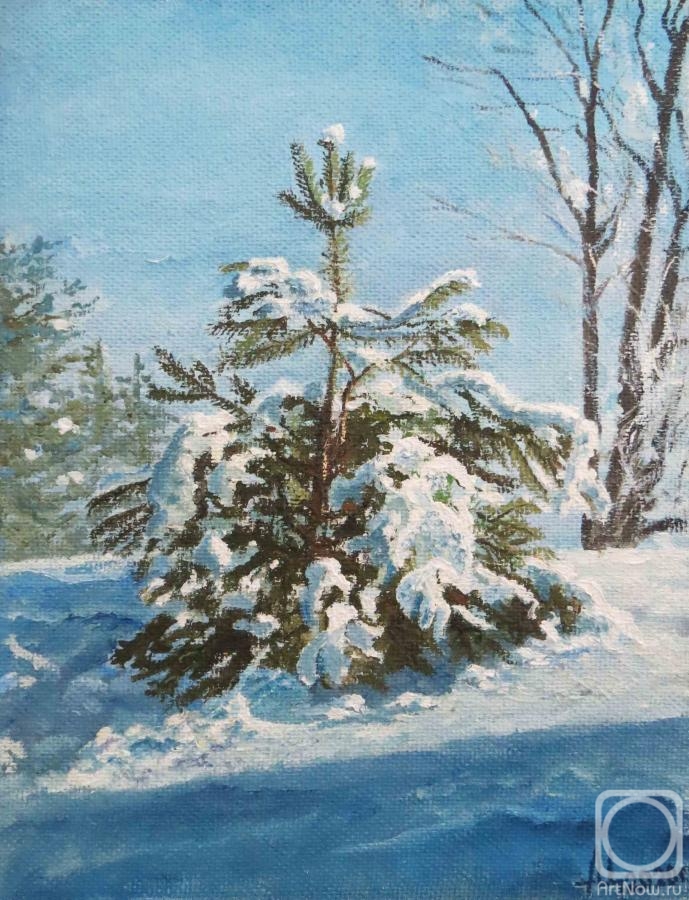 �������. �������� ���������. � ������� ������