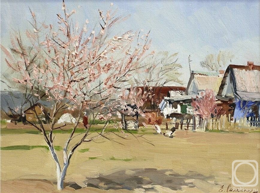 Sayapina Elena. Our Peach Tree in Early Spring