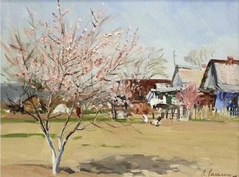 Our Peach Tree in Early Spring