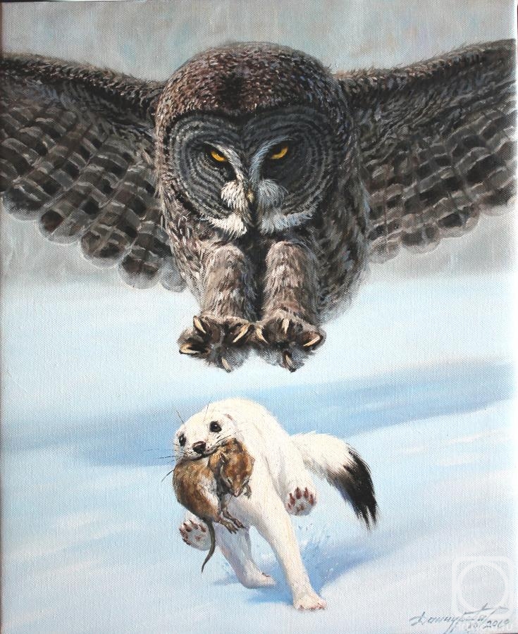 Danchurova Tatyana. Owl Hunting