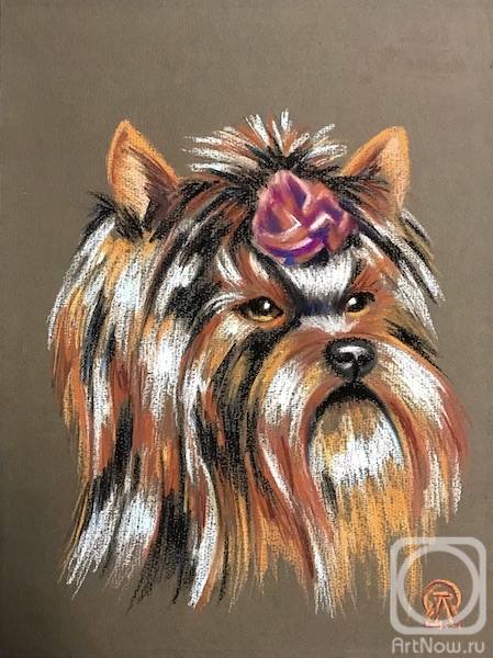 �������. �������� ������. ����