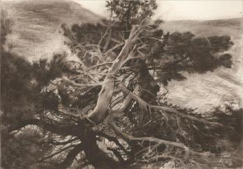 ������� ��� ������� ����� �����-����