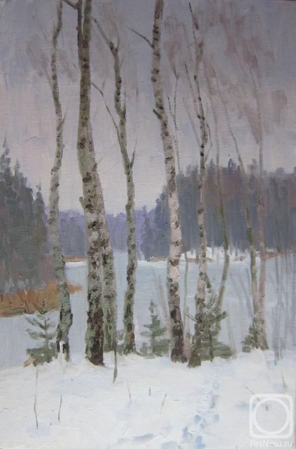 Chertov Sergey. Birches