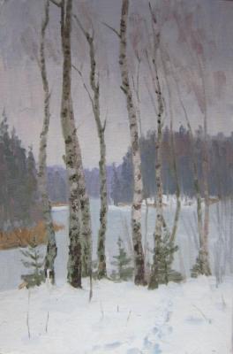 Birches. Chertov Sergey