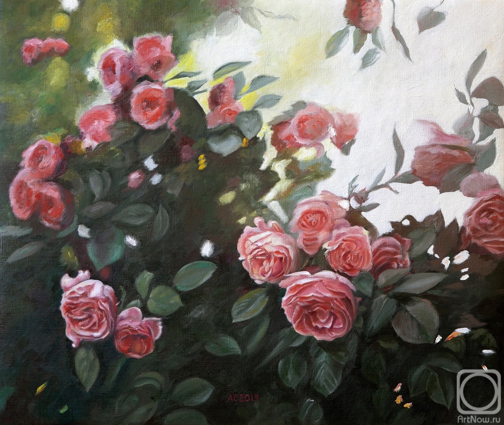 ������� ������ �� ������. �������� ������. ���� � ����