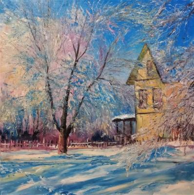 Summer cottage in winter. Murtazin Ilgiz