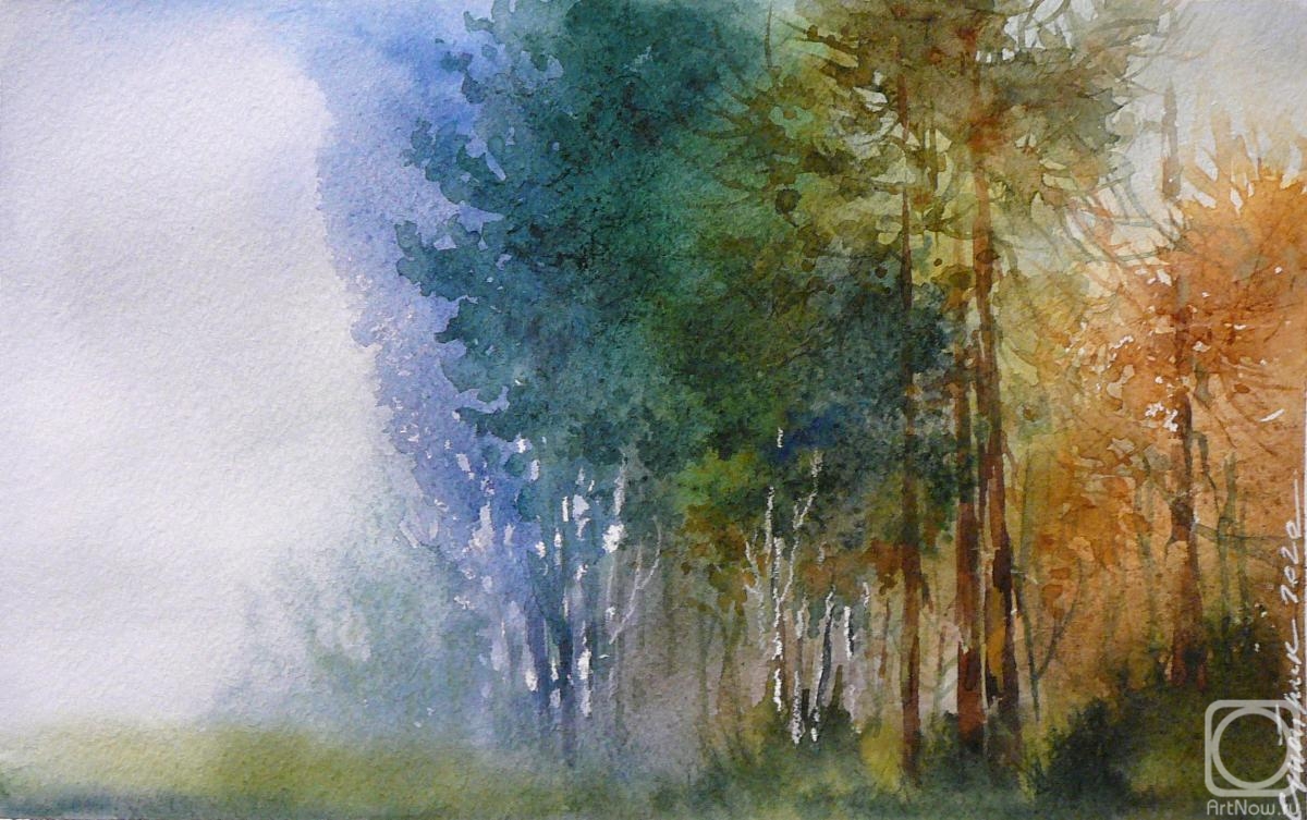 Stoylik liudmila. Fog in a pine forest