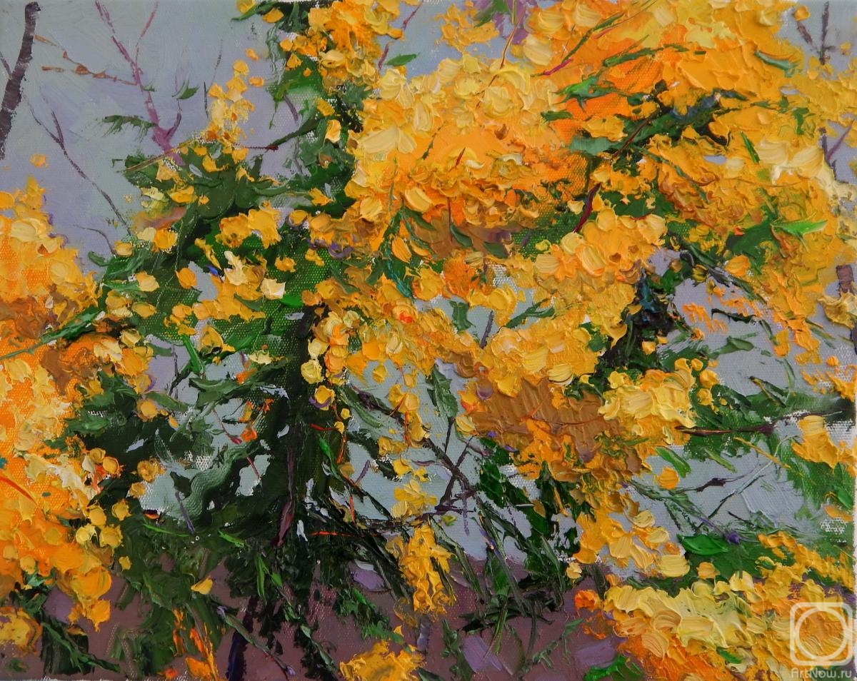 ������� ������ �� ������. ���������� �������. ������ ������