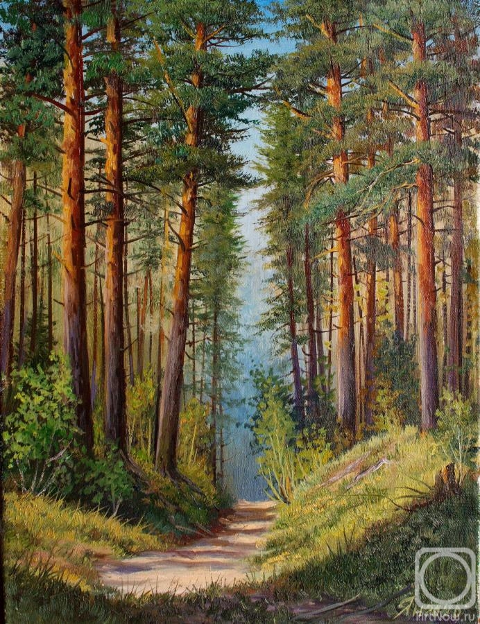 Yanulevich Henadzi. In a pine forest