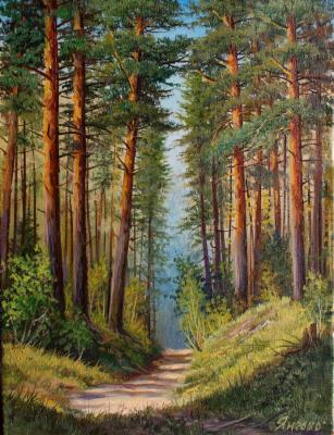 In a pine forest. Yanulevich Henadzi