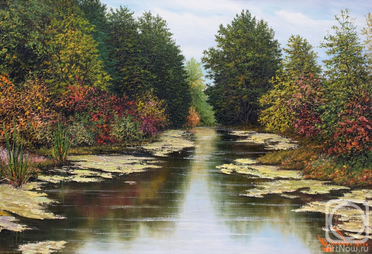 ������� ������ �� ������. ����� ����. �����. � ���������� ����