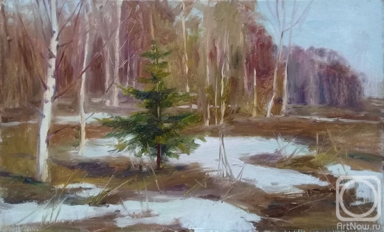 Shumakova Elena. The end of winter (etude)