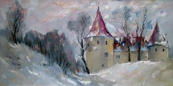 Winter day in the Baltic States. Lityshev Vladimir